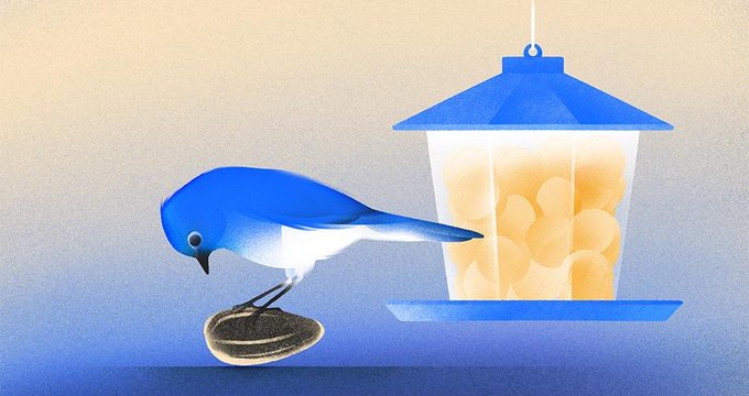 Series A crunch forces seed startups to prove revenue earlier